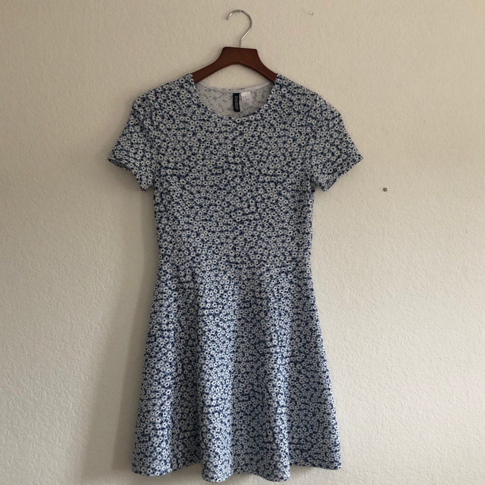 Baby Blue Divided Floral Dress